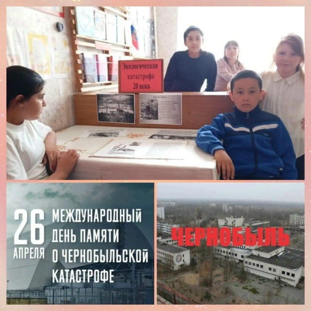 «Экологическая катастрофа 20 века»